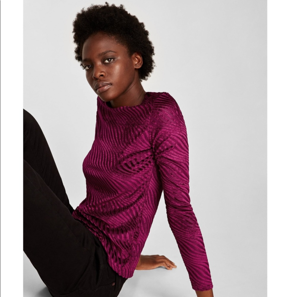 Zara Velvet Embellished Shirt (sheer)